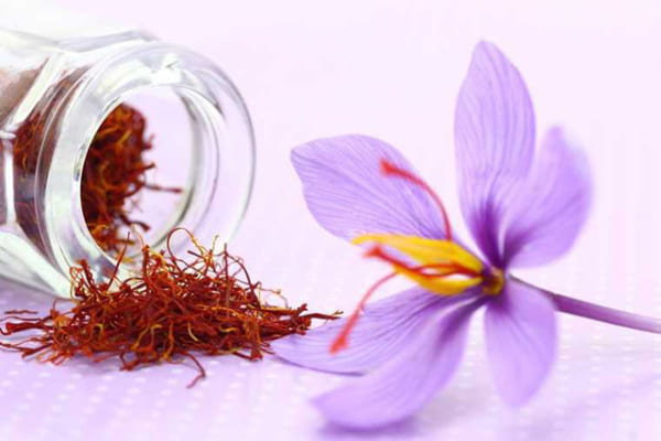 Nhụy hoa nghệ tây – Saffron 3
