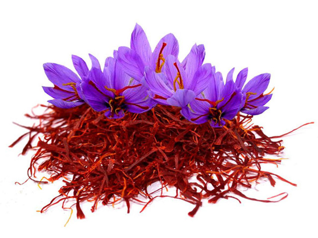 Nhụy hoa nghệ tây - Saffron 7